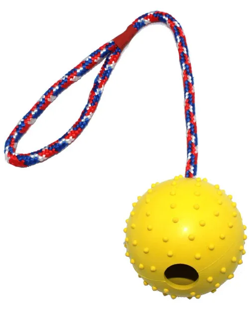 Rubberen bal aan touw