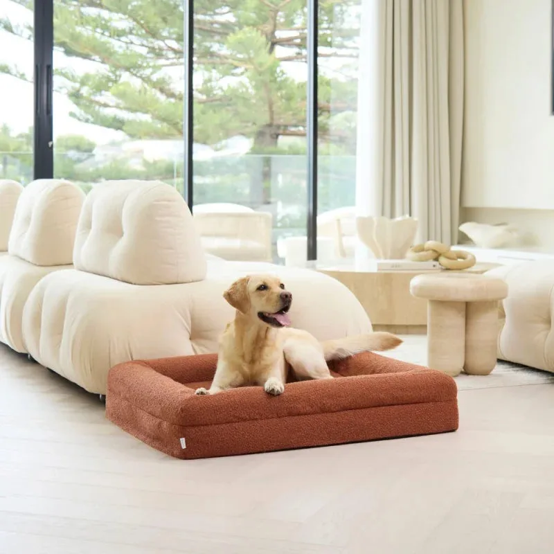 Memory Foam Dog Bed - Bouclé Terracotta
