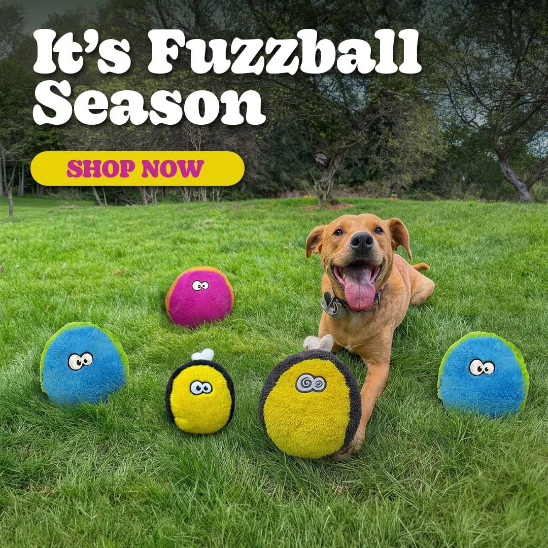 Fuzzball of the Month Subscription