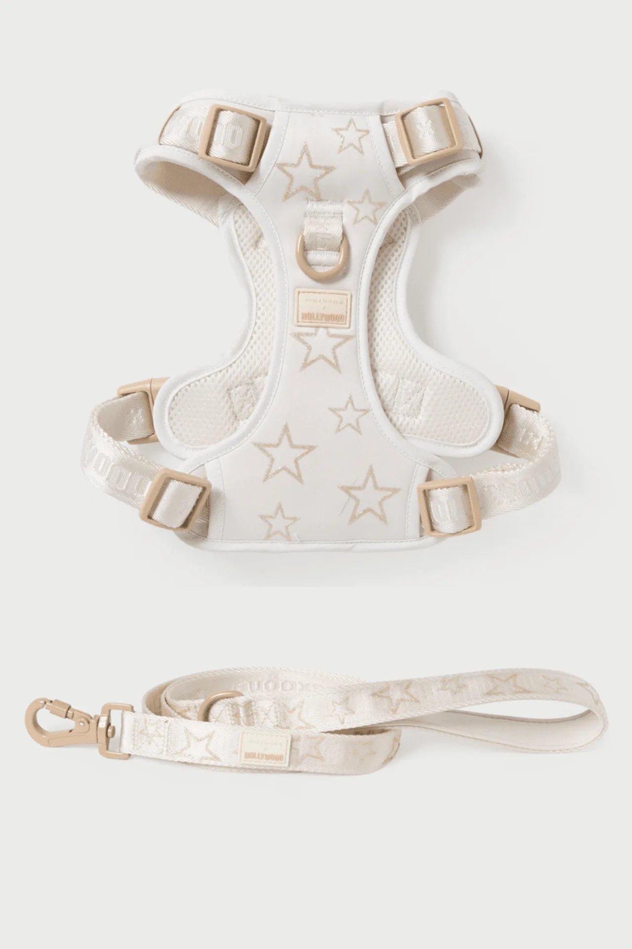 Harness vs. Collar for Everyday Walks: Which Is Safer and More Comfortable?