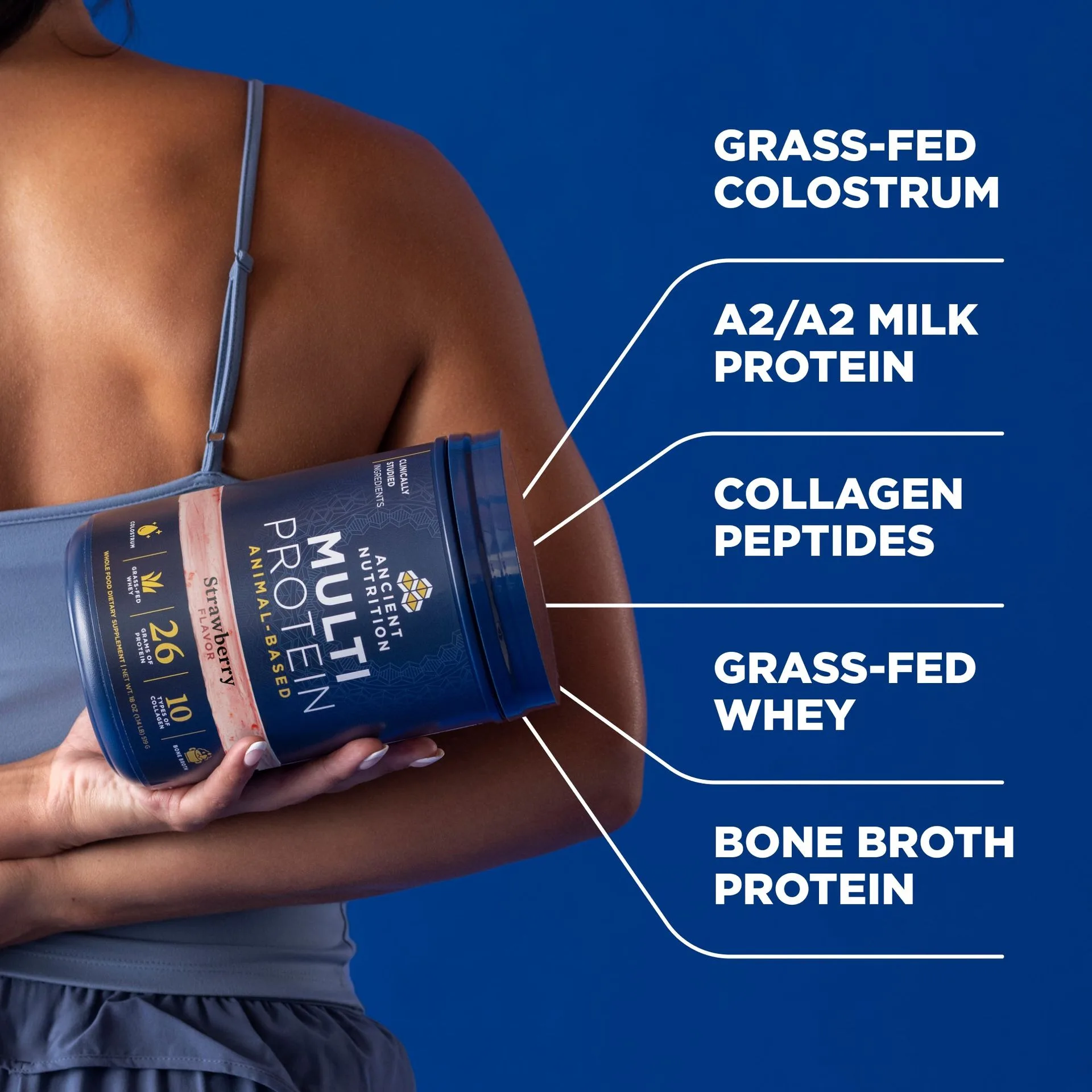 Multi Protein