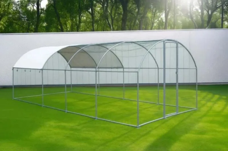 Rabbit Hutch Size Guide: How Much Space Your Rabbit Needs