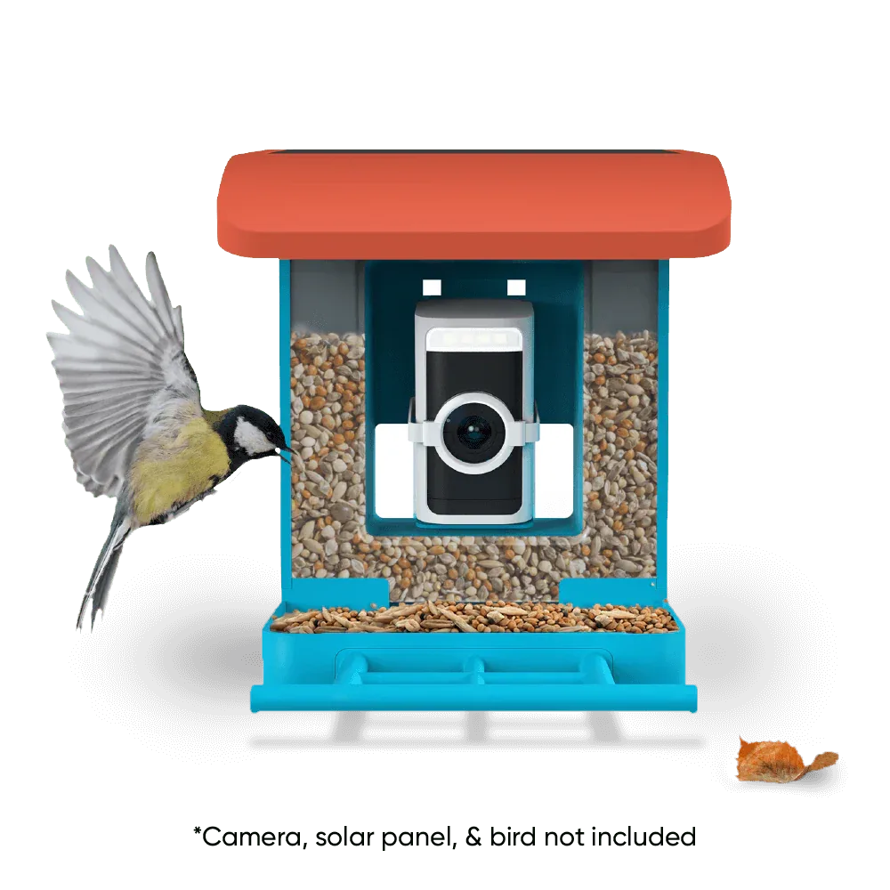 Wyze Bird Feeder vs. Traditional Bird Feeders: Which Attracts More Wildlife and Offers Better Smart Features?