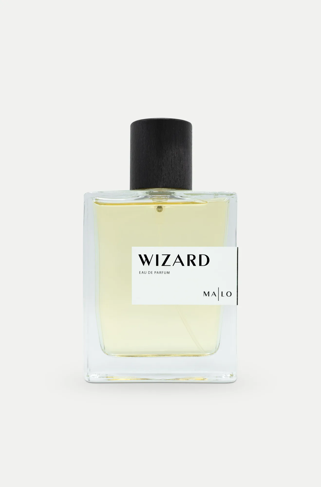 Wizard EdP