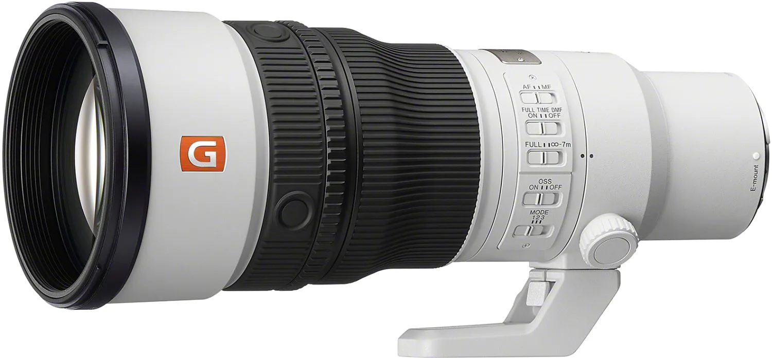 Sony 600mm f6.3 GM OSS per α7 IV: Setup naturalistico