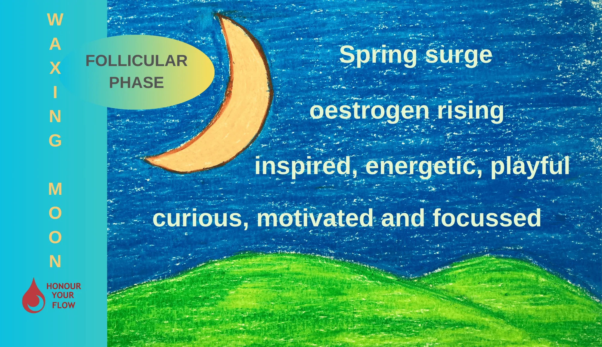 What Are Menstrual Phase Magnets and How Do You Use Them?