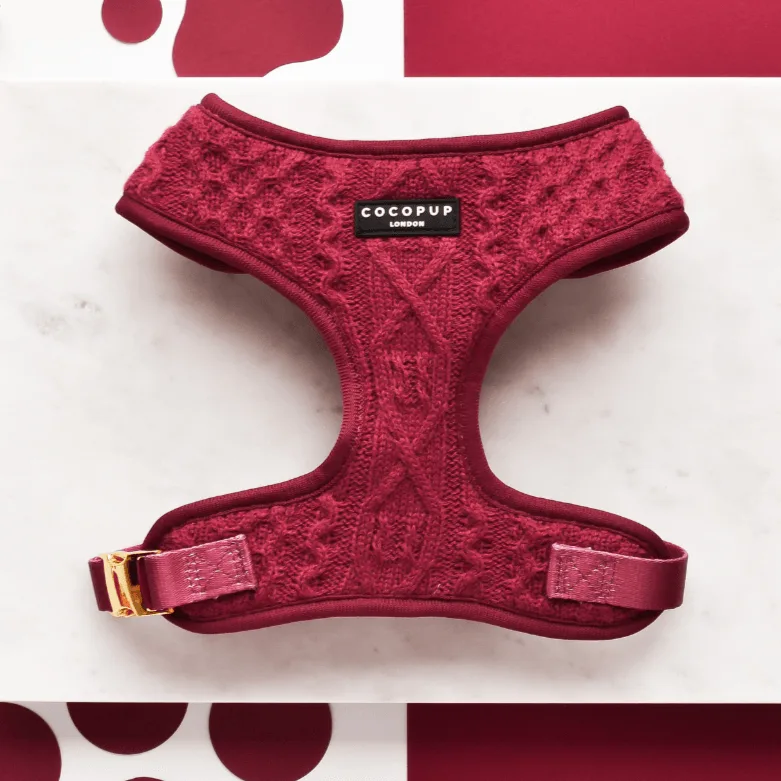 Cable Knit vs Teddy Adjustable Neck Harness: Which Fits Your Pup?