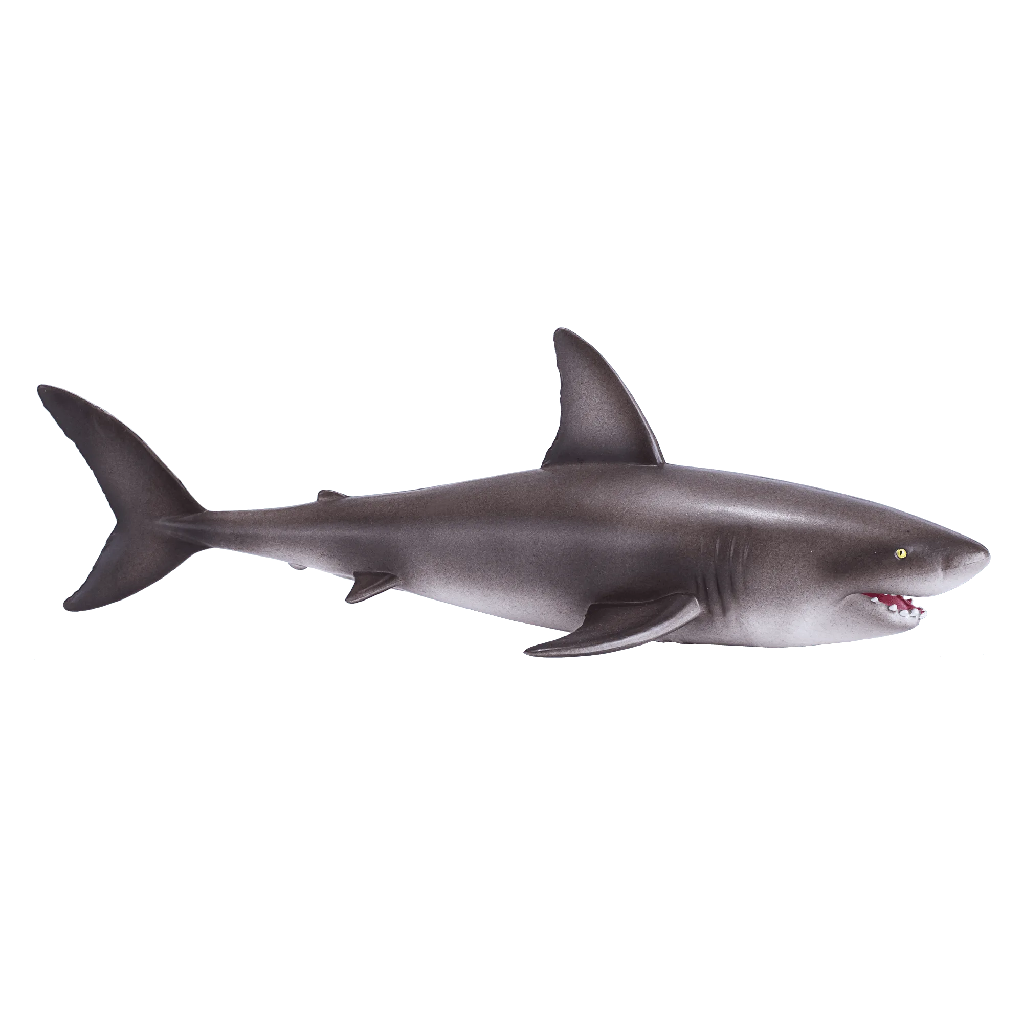 Great White Shark