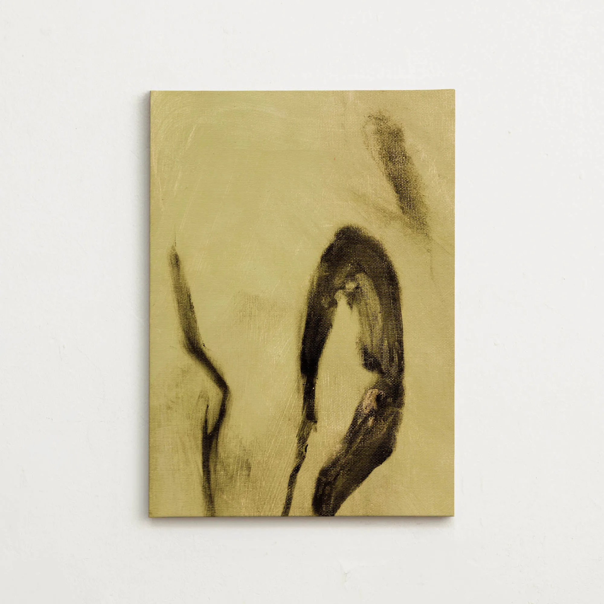 Canvas - Presence 0.2