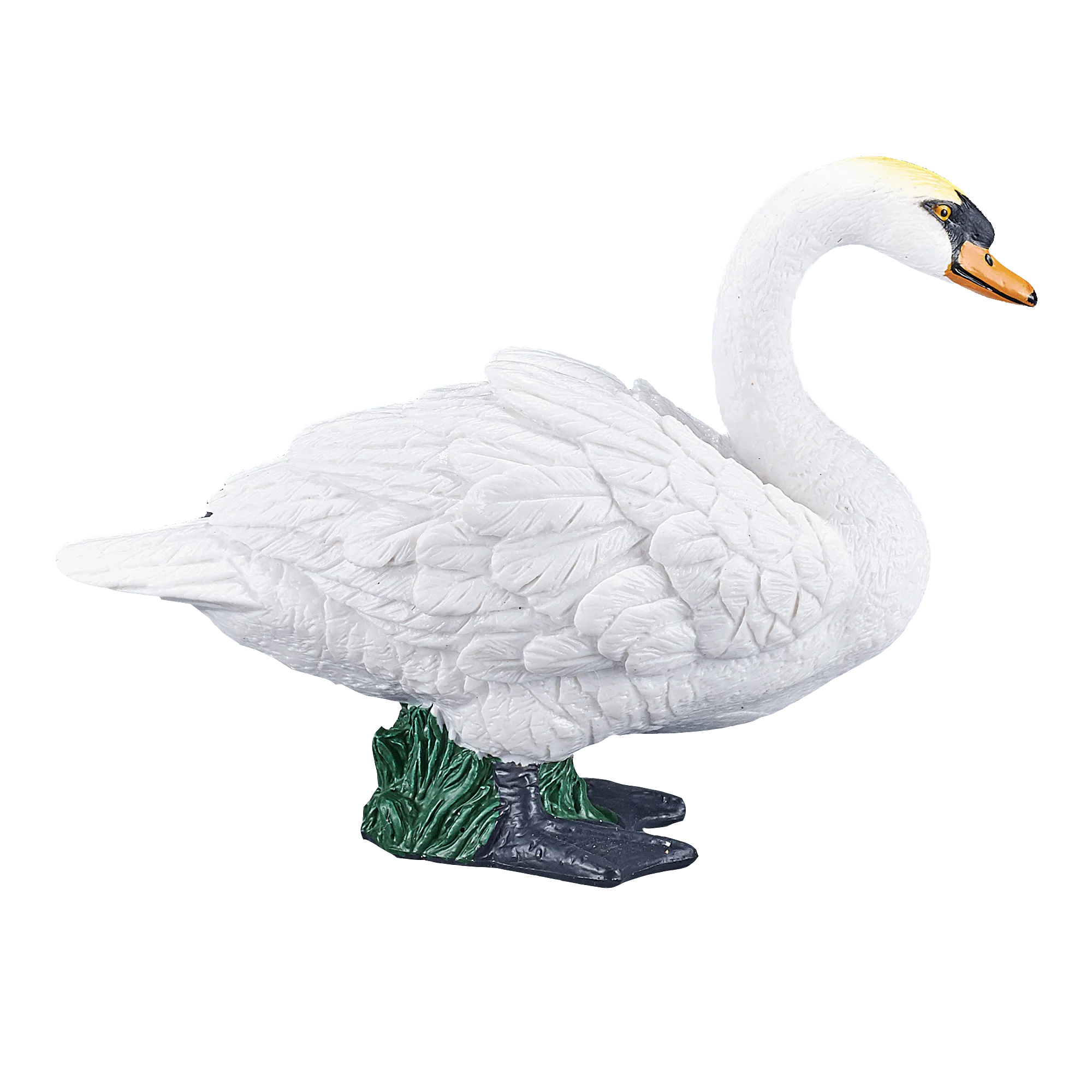 Mute Swan