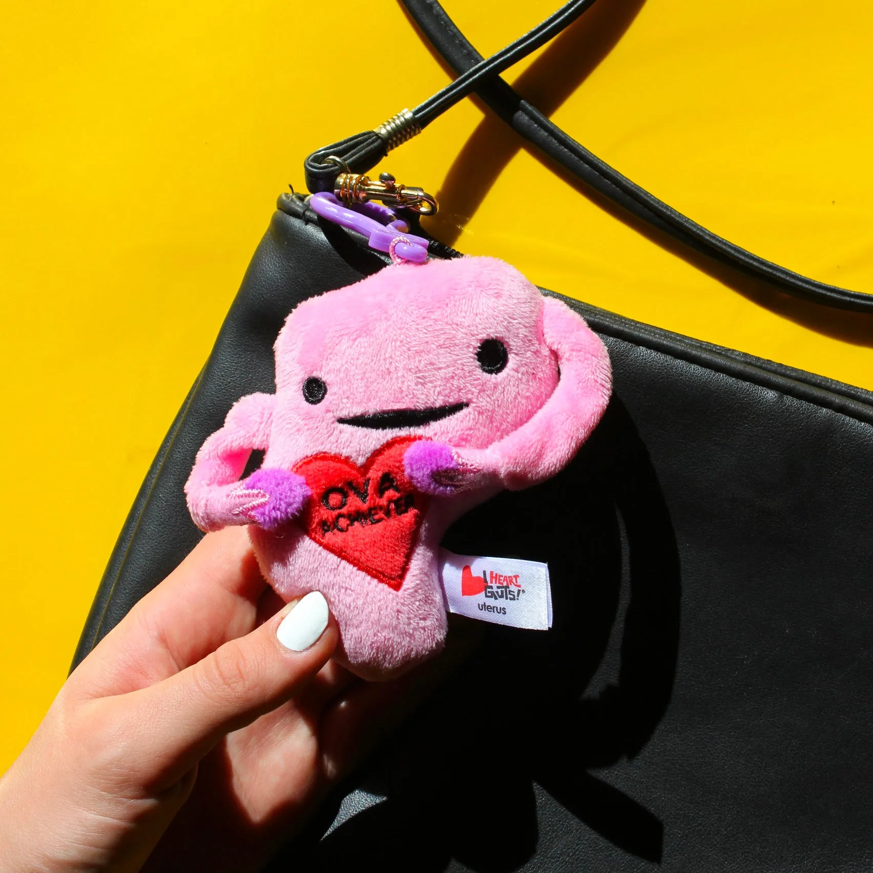 Les peluches d'organes sont-ils sûrs pour les enfants ? Guide parental