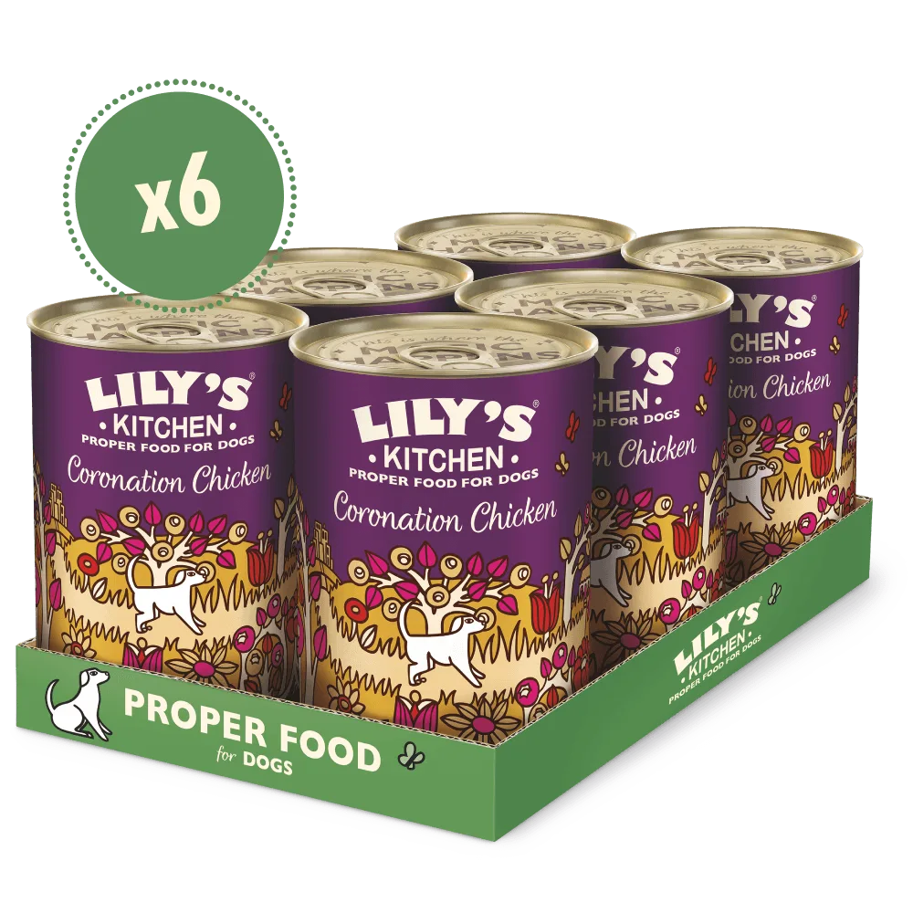 Understanding Dog Food Ingredients: What to Look for in Wet Food for Dogs