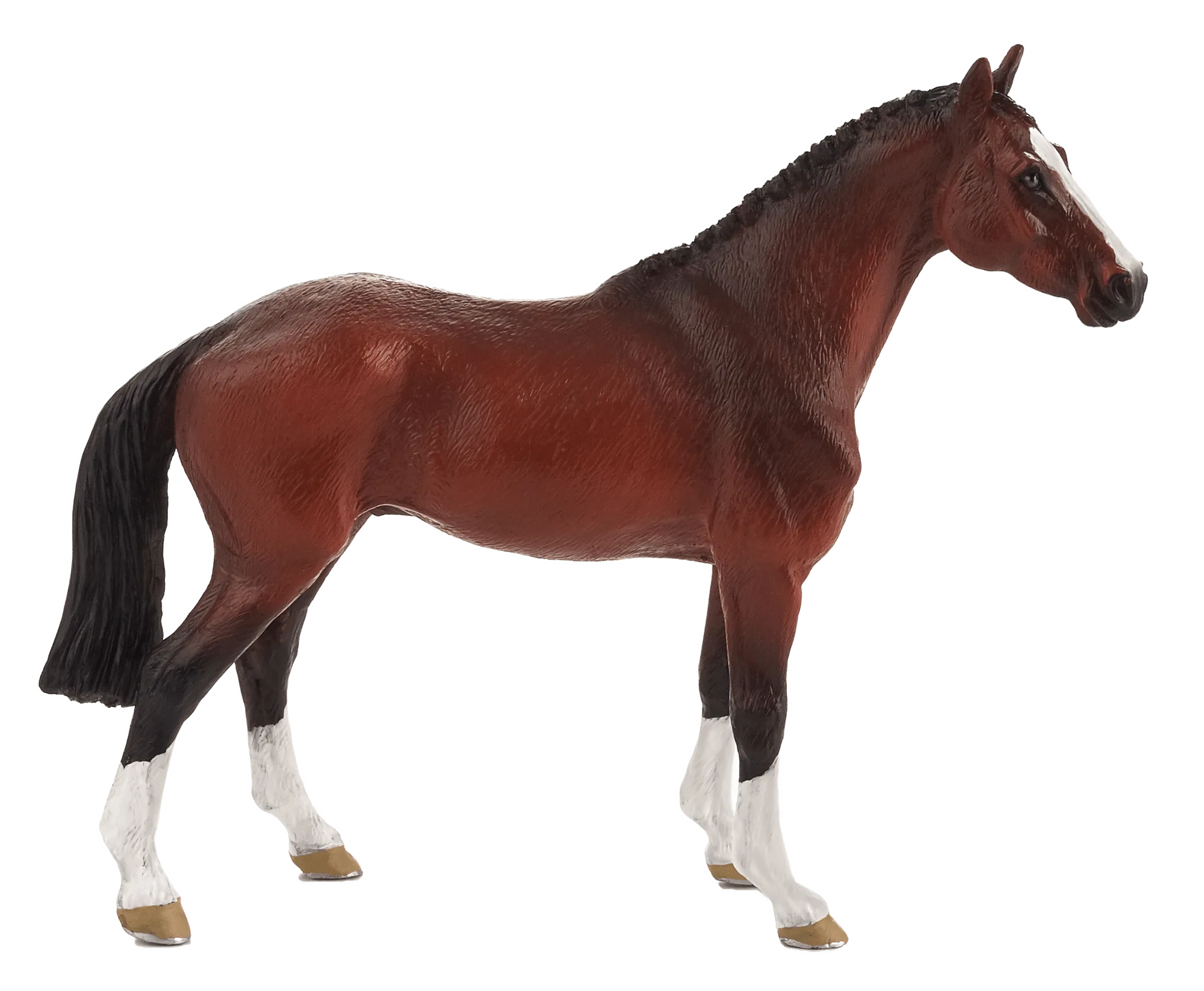 Dutch Warmblood