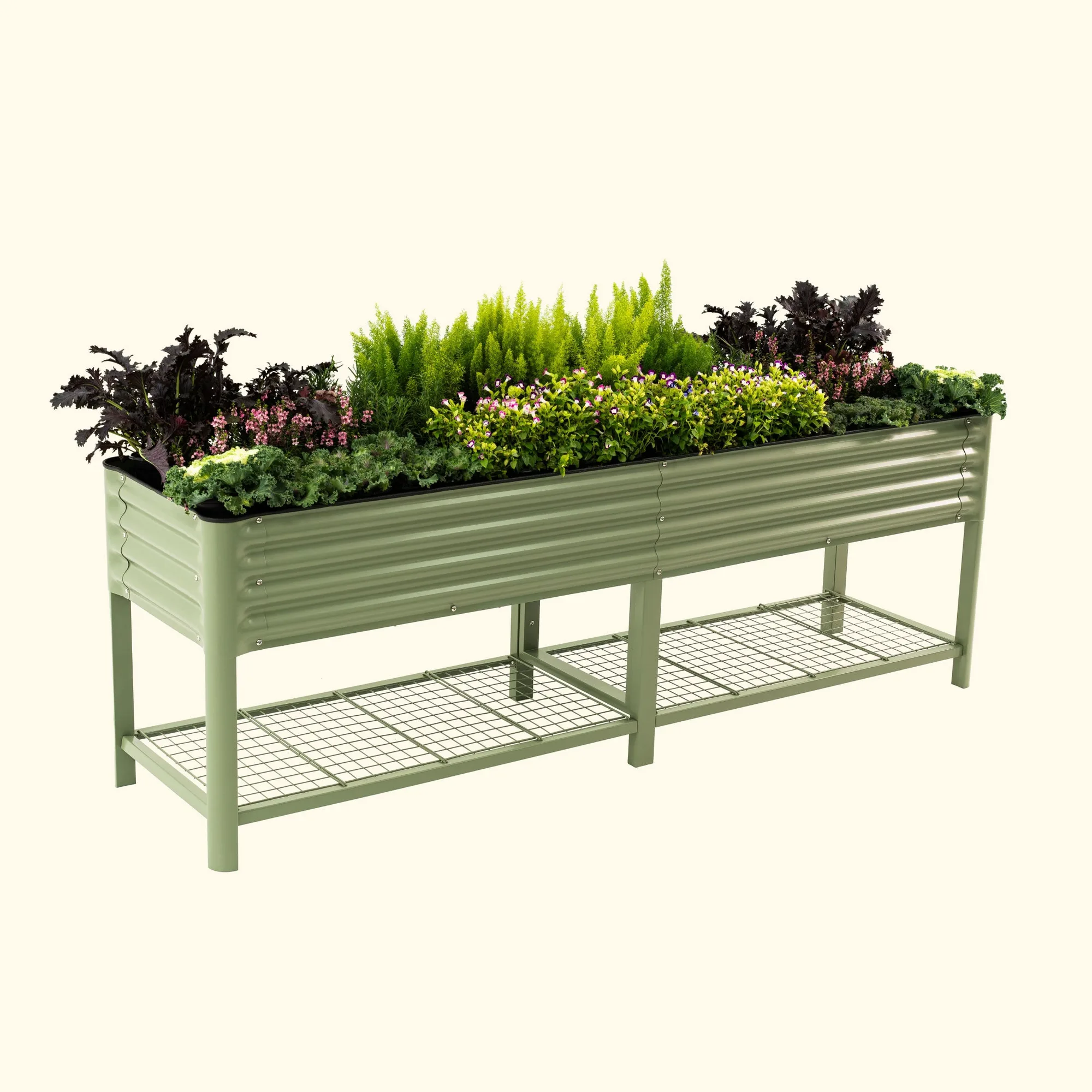 Elevated Garden Bed vs Raised Bed: Which Is Better for You?