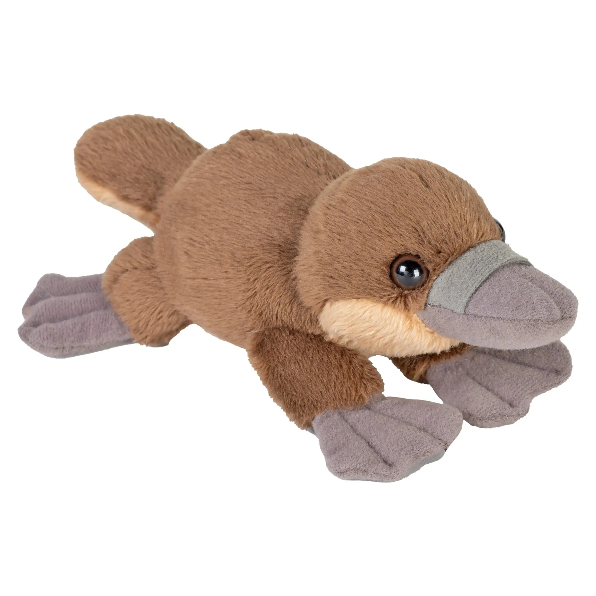 Brinquedo de ação Axolotl vs Peluche: Qual é melhor?