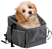 Pet Bike Basket Safety Tips for Riding with Your Dog