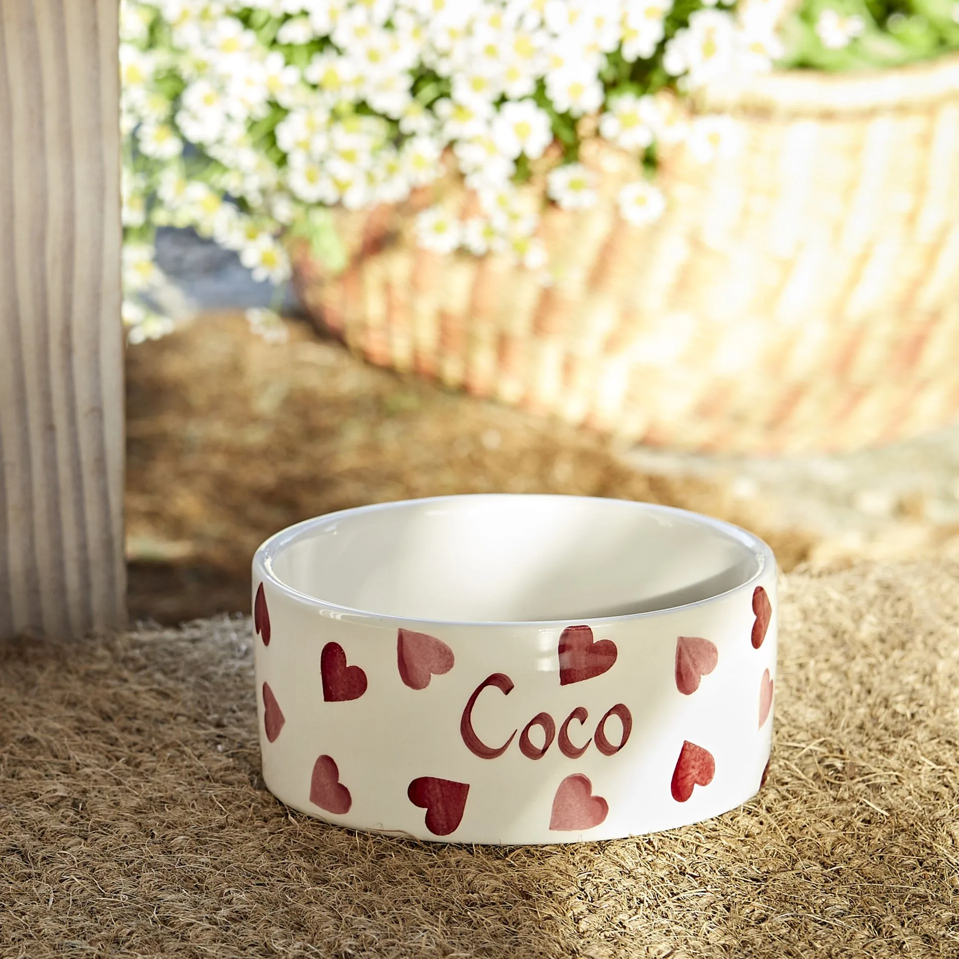 Emma Bridgewater Doorstops and Doormats: A Buying Guide for a Charming Entryway