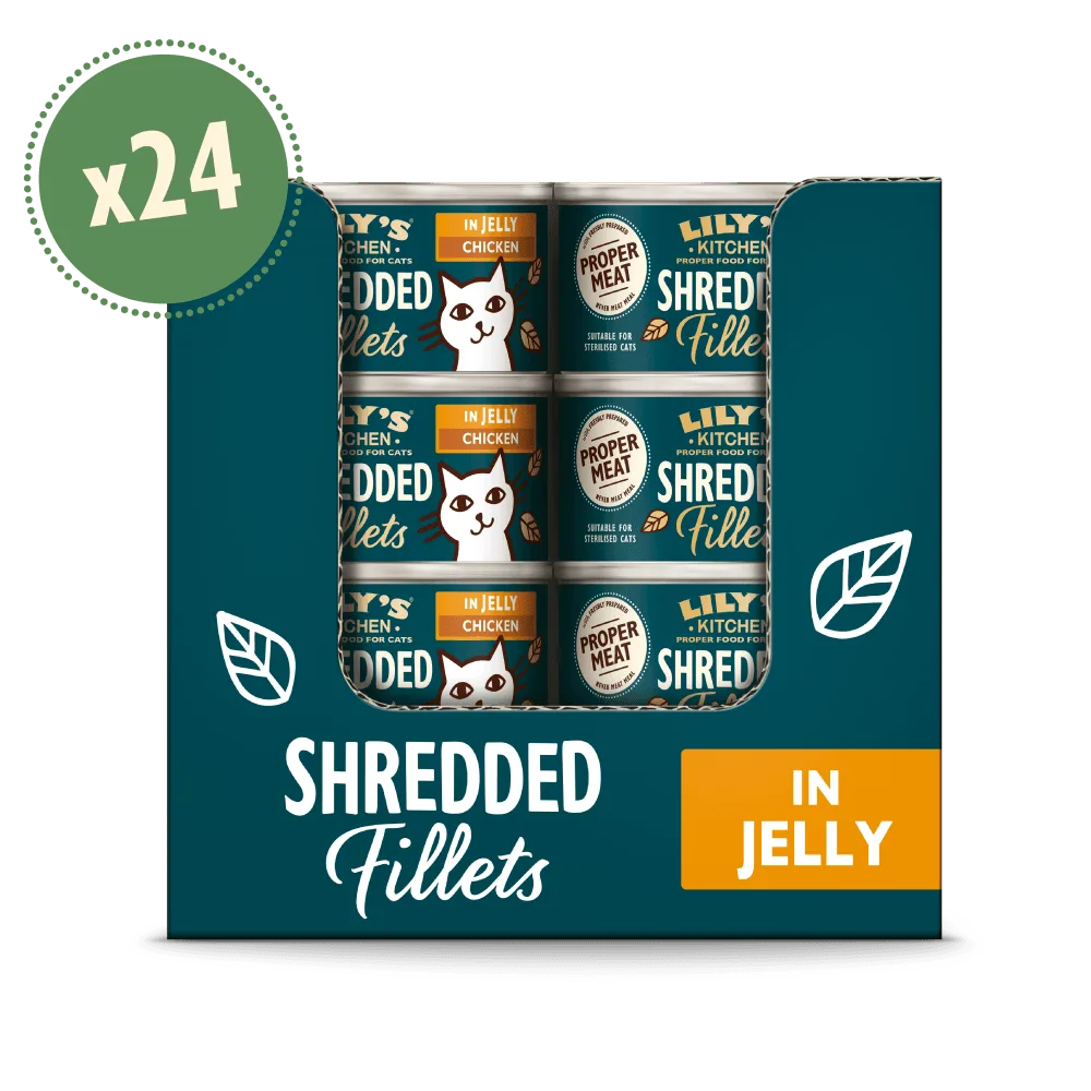 PETLIBRO Breakfast Crunch 6x800g Review: A Complete Breakfast for Adult Dogs