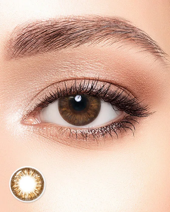 Guide des lentilles toriques : ce qu'elles sont et pour qui