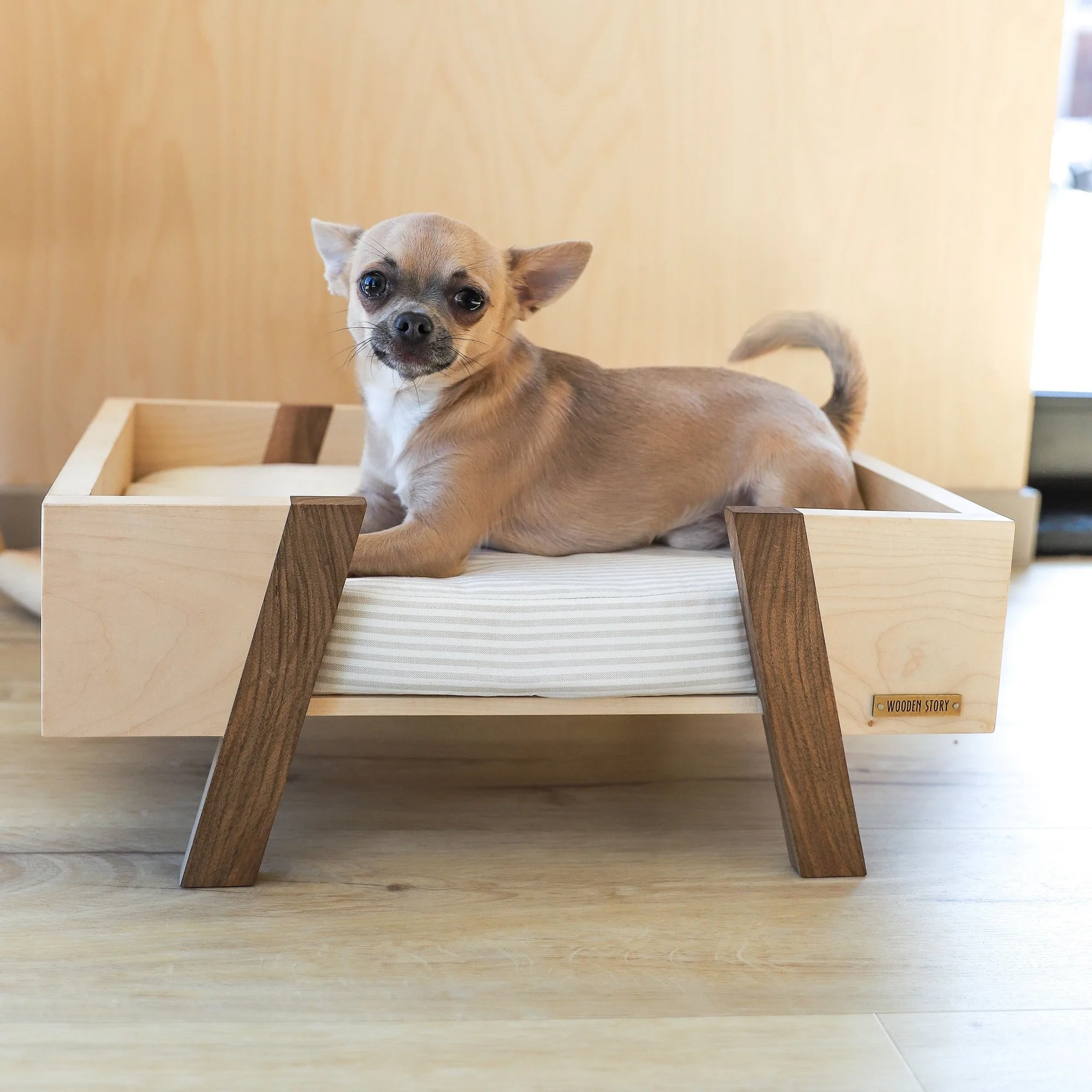 Pet Bed Buying Guide for Small Dogs