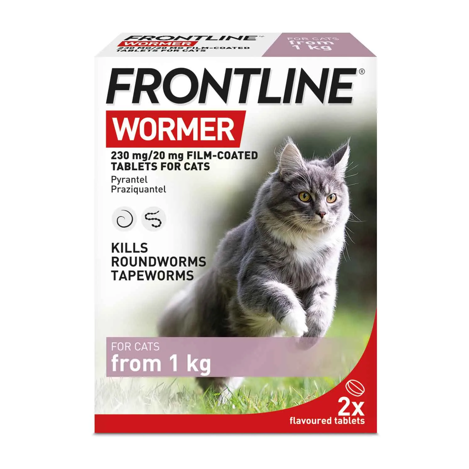 Frontline Wormer vs Spot On for Cats: Key Differences