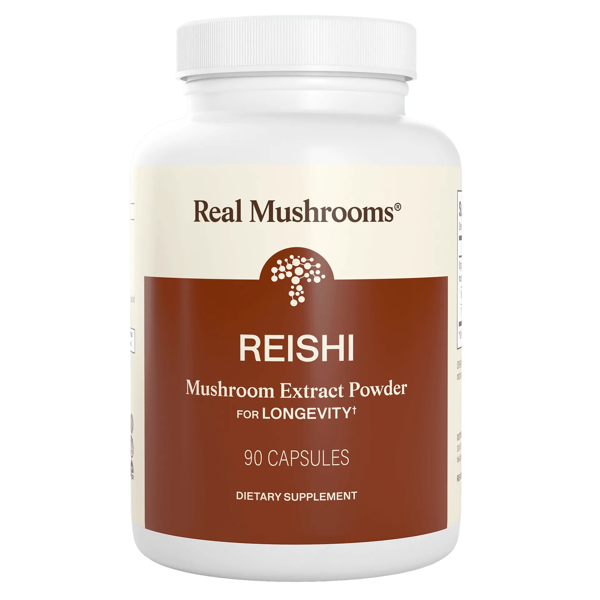Organic Mushroom Extracts for Energy vs. Focus: A Buying Guide