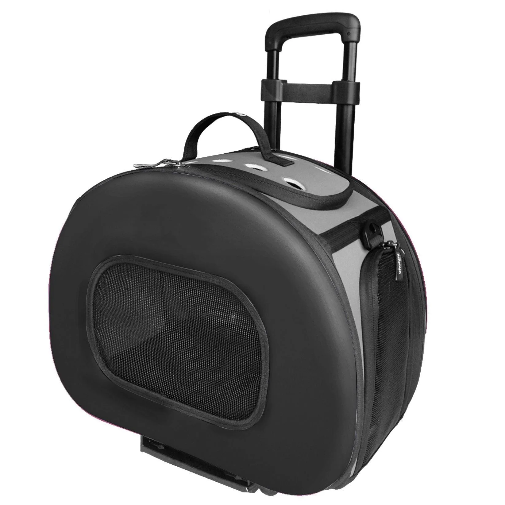 Collapsible Carrier vs Hard Shell: Which to Buy?