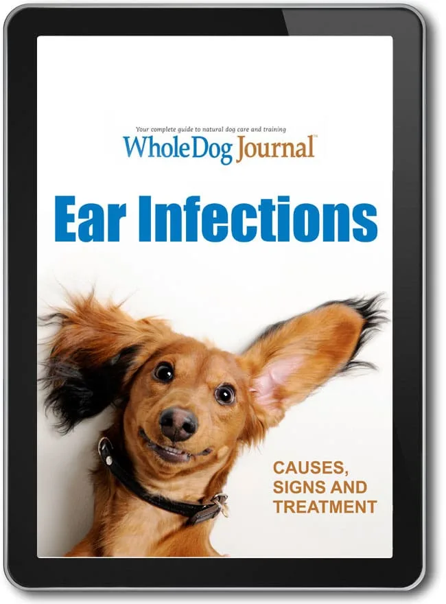 Infections de l’oreille