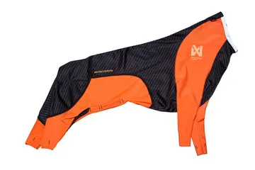 Protector Snow Female : Une veste pour chien pour la visibilité hivernale