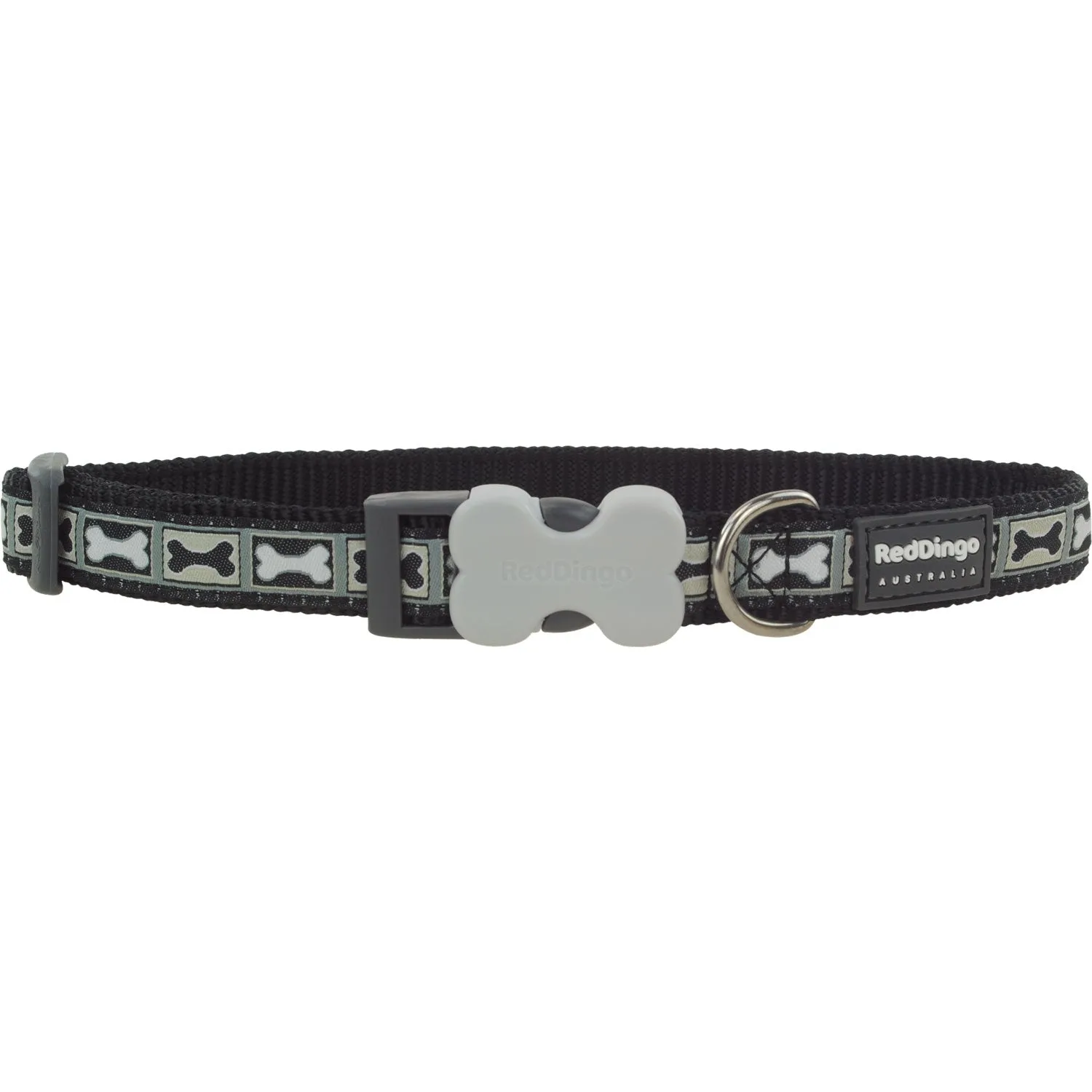 Guida alle taglie dei collari per cani di piccola taglia