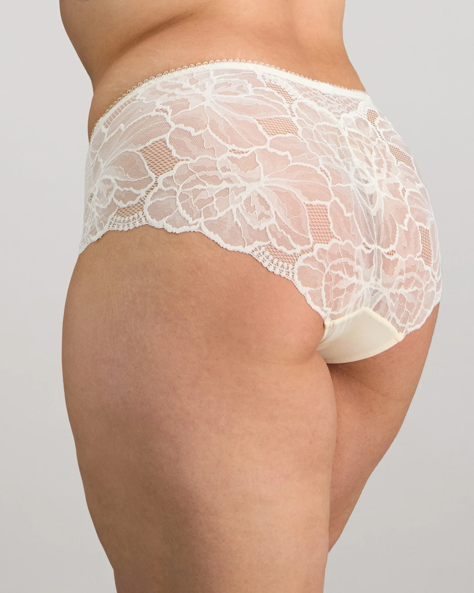 Midnight Express Full Brief - Egret