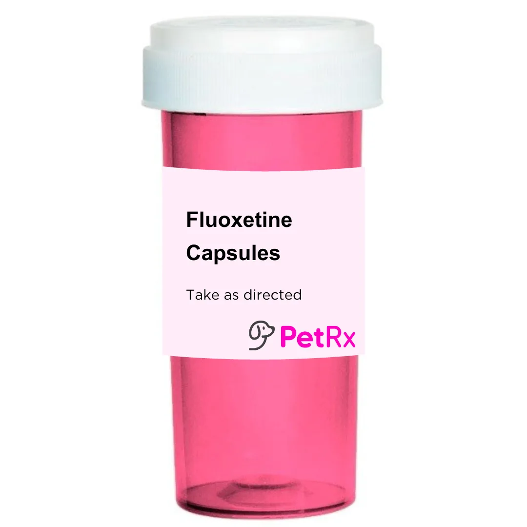 Fluoxetine for Dogs: Capsules vs Tablets Comparison