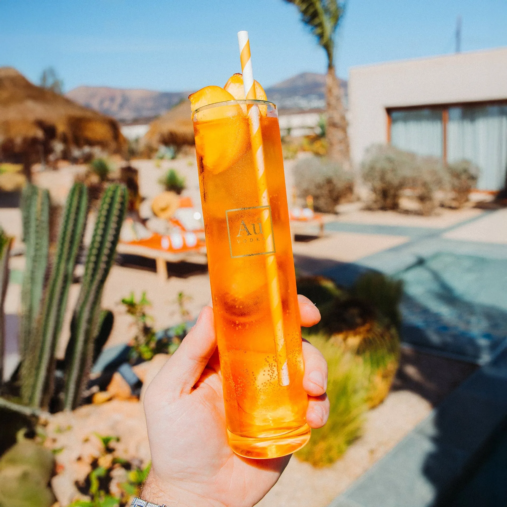 Au Vodka Pineapple Crush Pre-Mixed Cans Taste Test & Review: A Tropical Delight in Every Sip