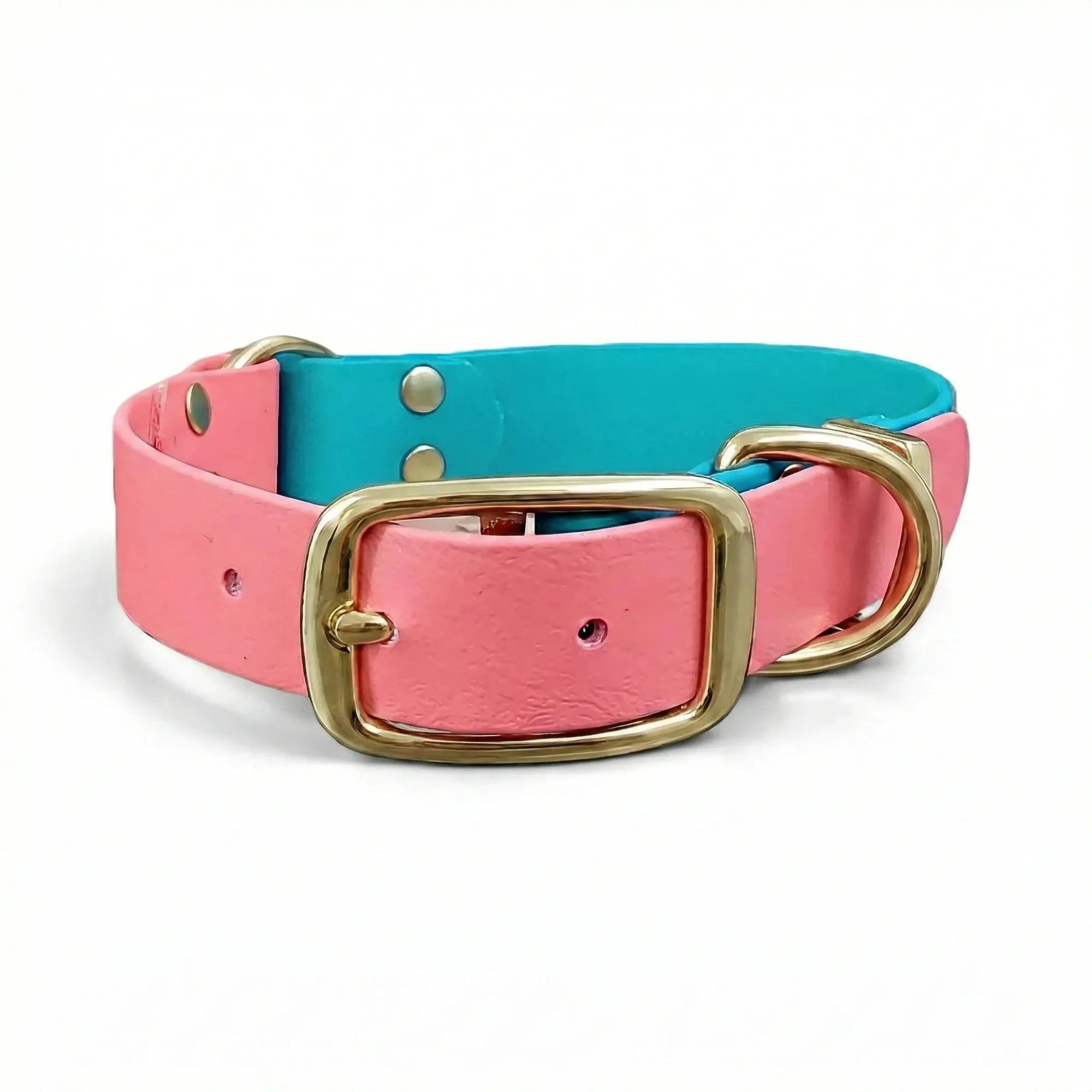 Teal & Coral Multicolour Waterproof Biothane Buckle Dog Collar