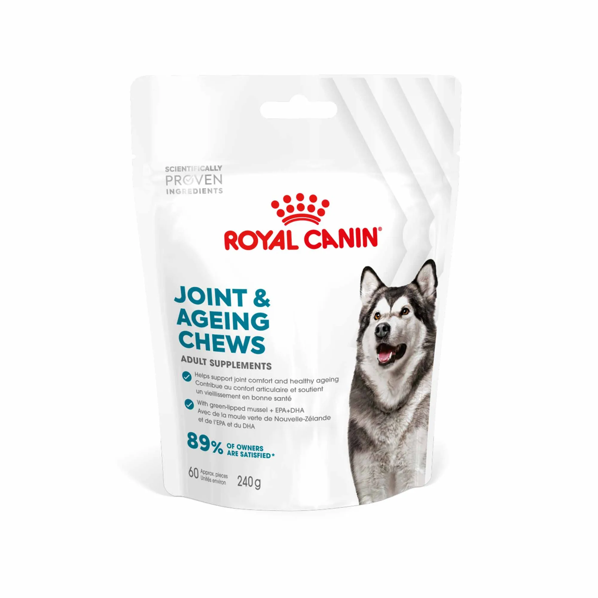 متى تعطي كلبك Royal Canin Joint & Ageing Soft Chews