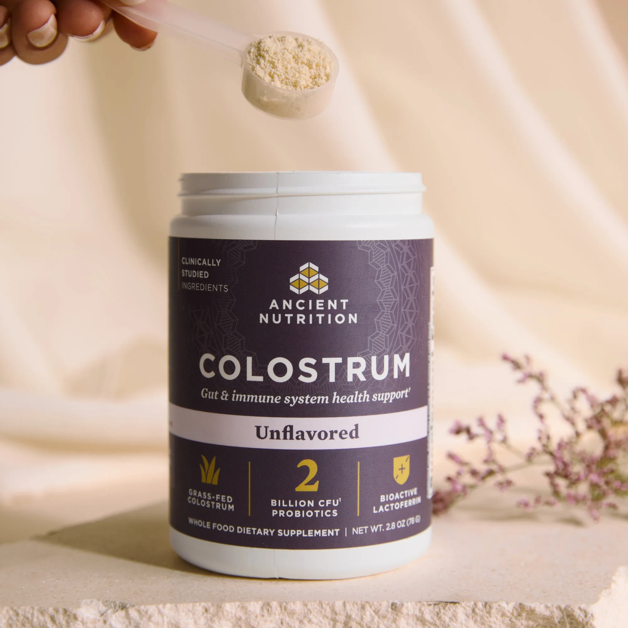 Colostrum image