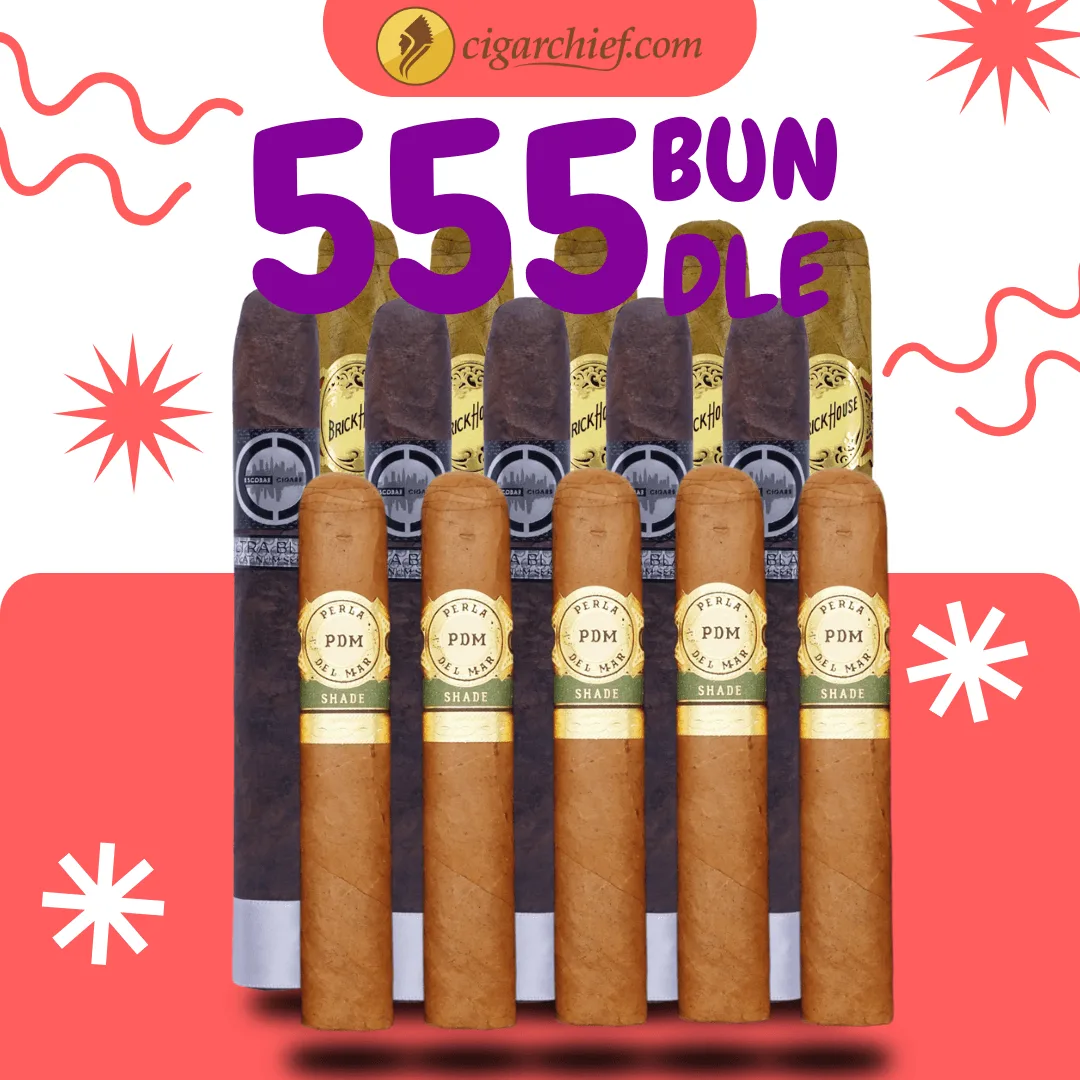 5 5 5 Bundle vs Factory No.49: Budget Cigar Comparison