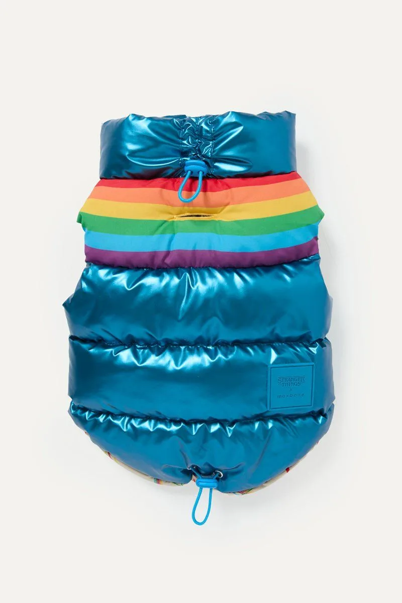 How to Choose the Right Dog Carrier Bag for Your Pet's Size and Travel Needs