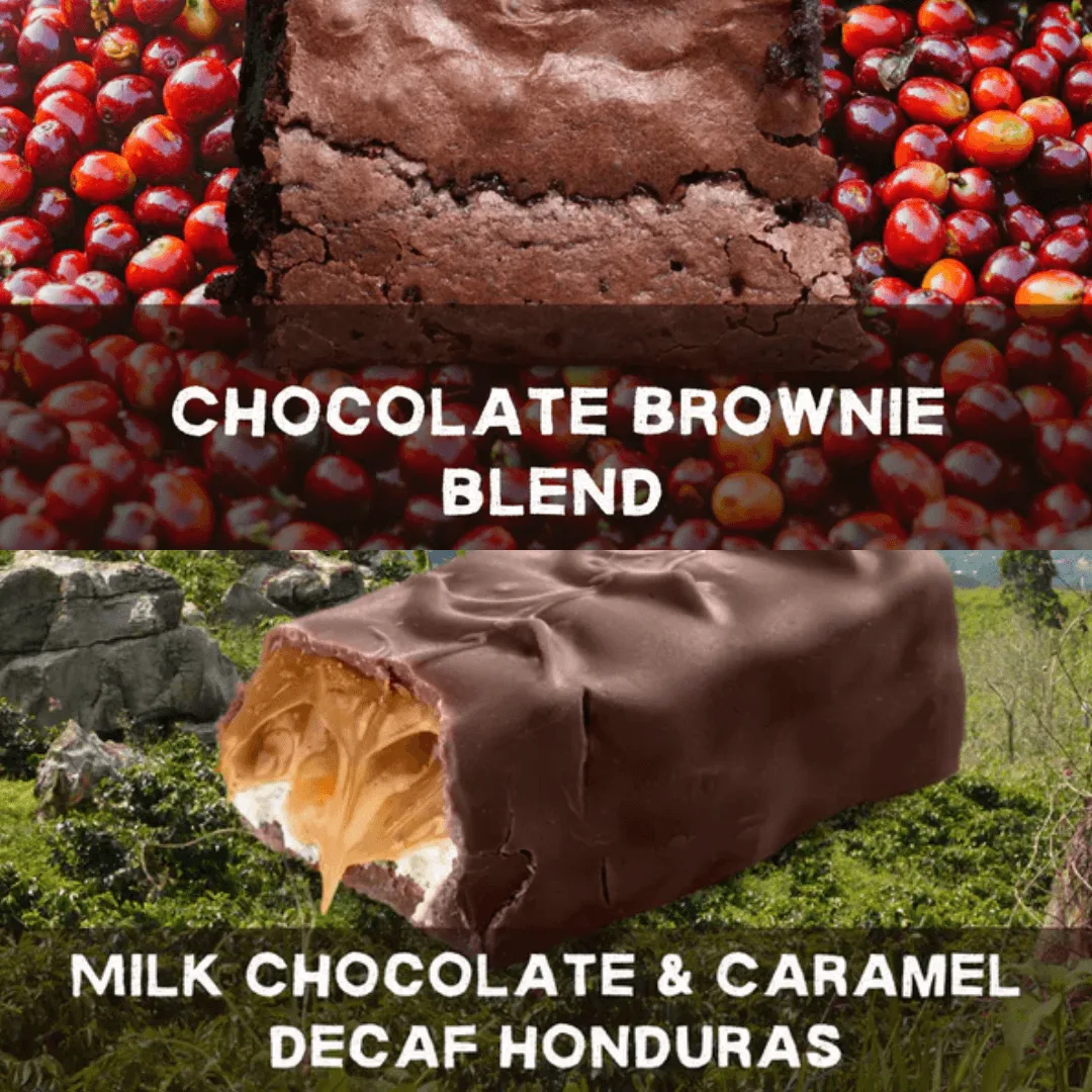 Bundle Deal Choc Brownie + Milk Choc & Caramel Decaf