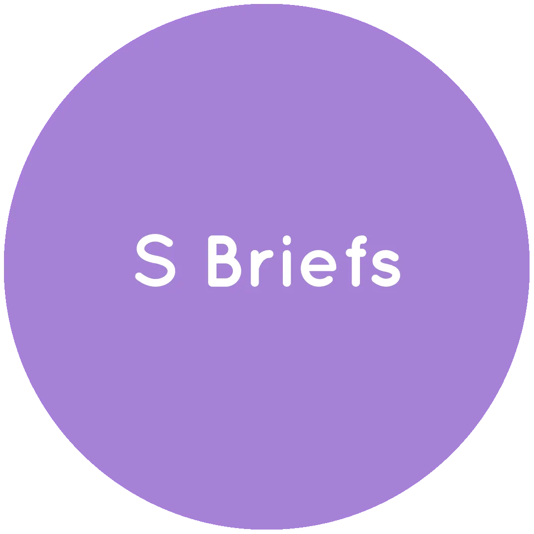 OUTLET - S Briefs