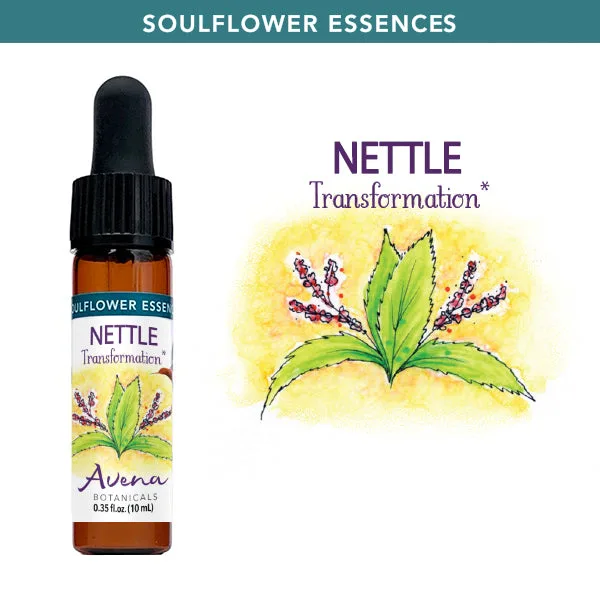L'essence Nettle Soulflower pour la vitalité au quotidien