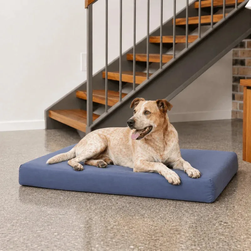Come lavare l'inserto in memory foam di un letto rinfrescante per cani