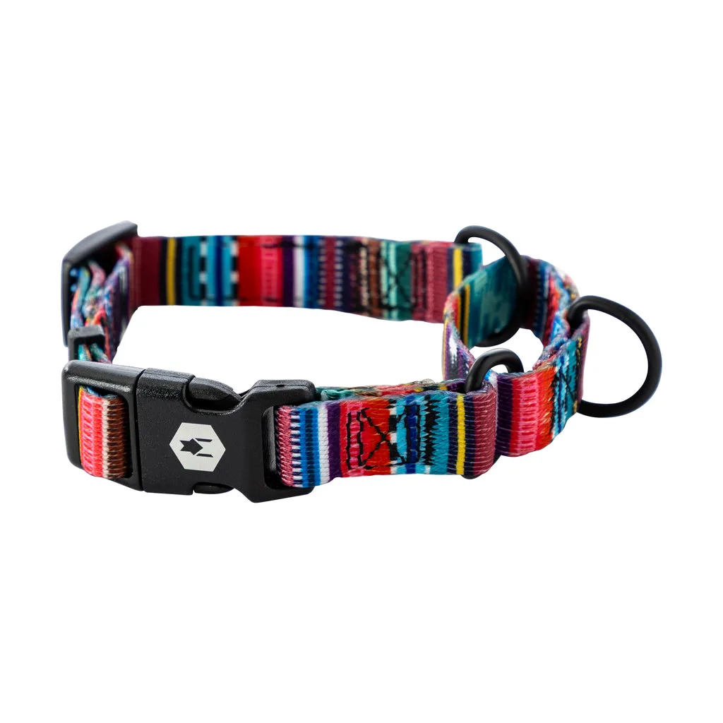 How to Clean and Care for a Nylon Dog Collar or Leash