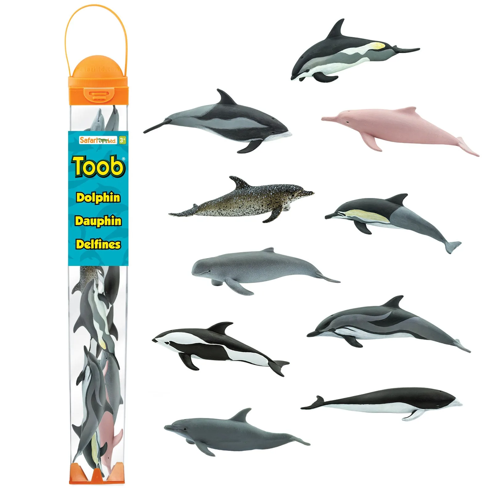 Dolphin TOOB®