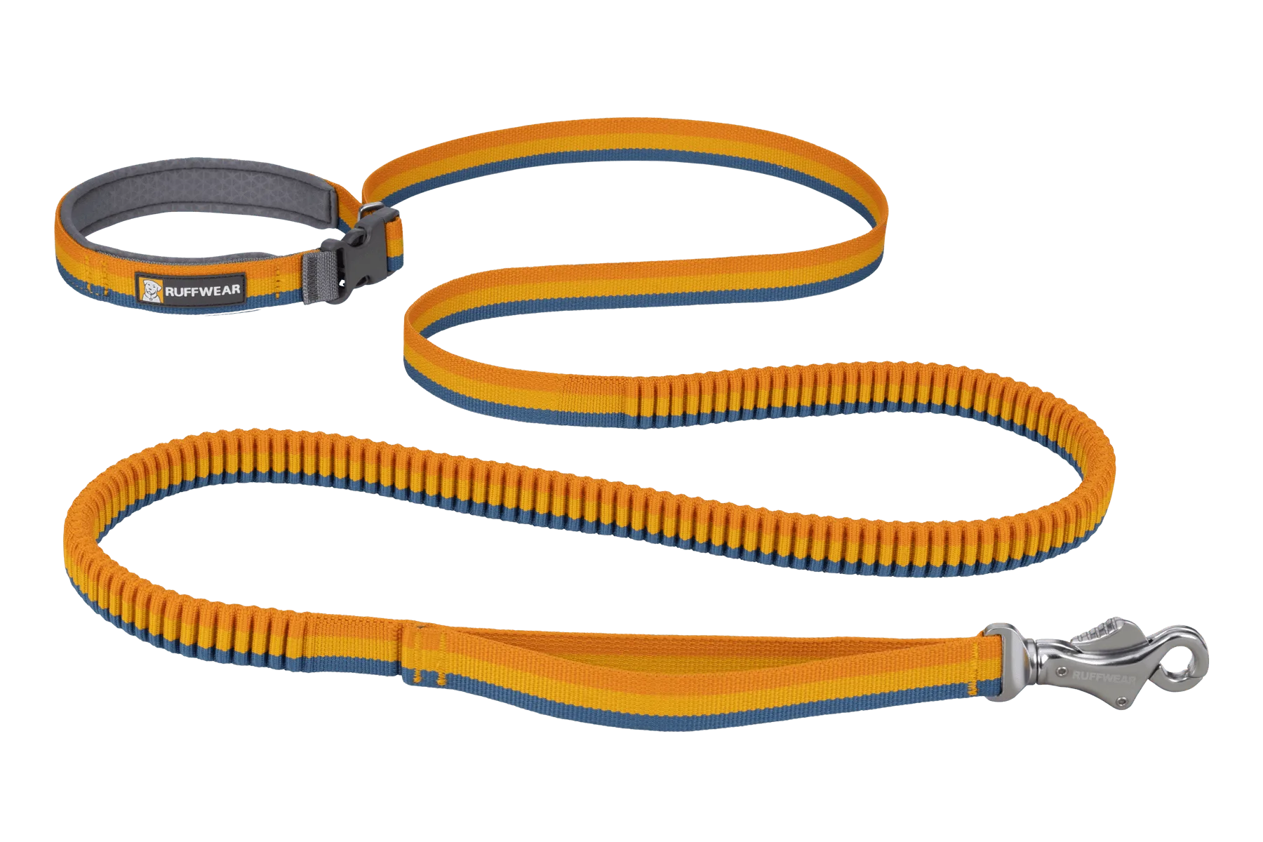 The Ultimate Ruffwear Leash Buying Guide: Match Your Dog's Activity Level