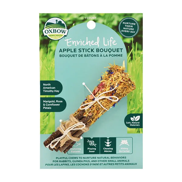 Safe Bird Toys for Parrots and Small Birds