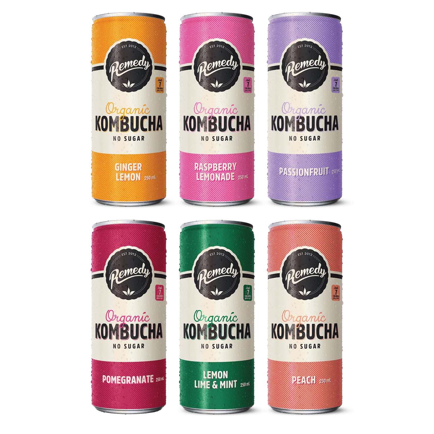 Remedy Kombucha Mixed Case vs Single Flavor Cans: Pros and Cons