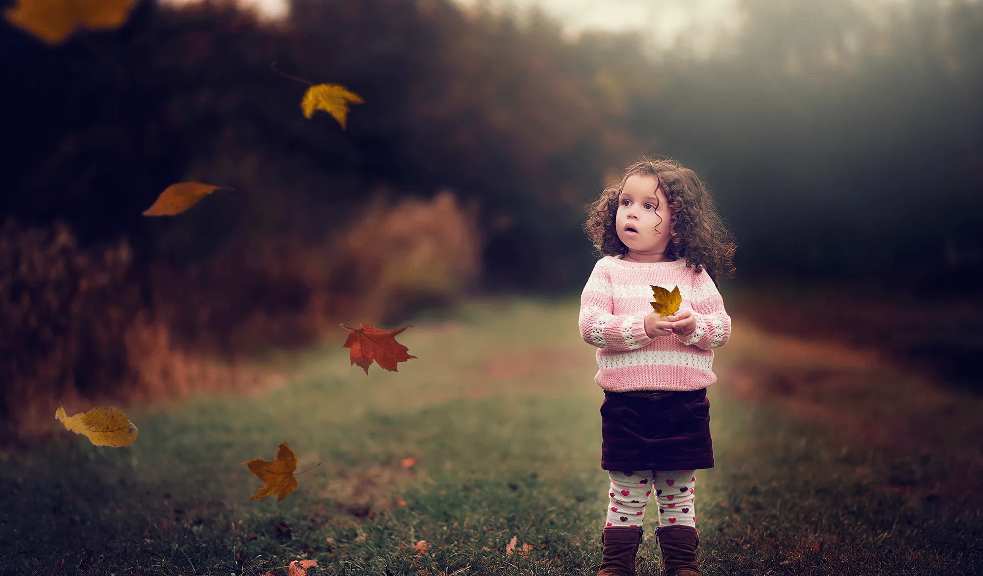 Falling Leaves Overlays & Actions Collection