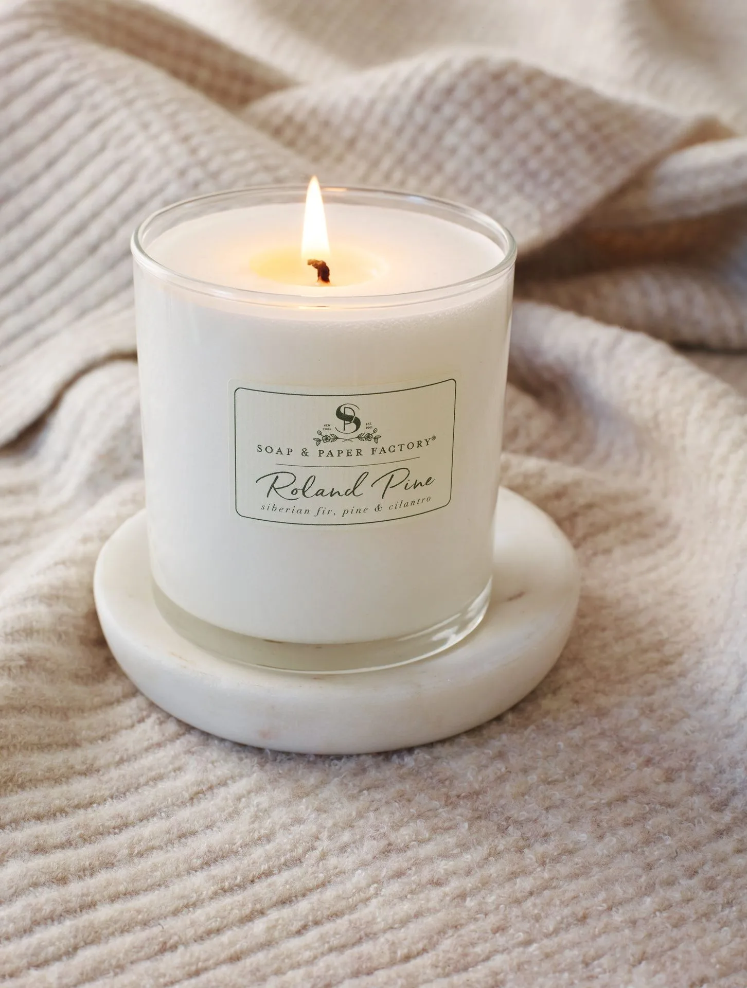 Roland Pine Single-Wick Soy Candle Review: A Detailed Look