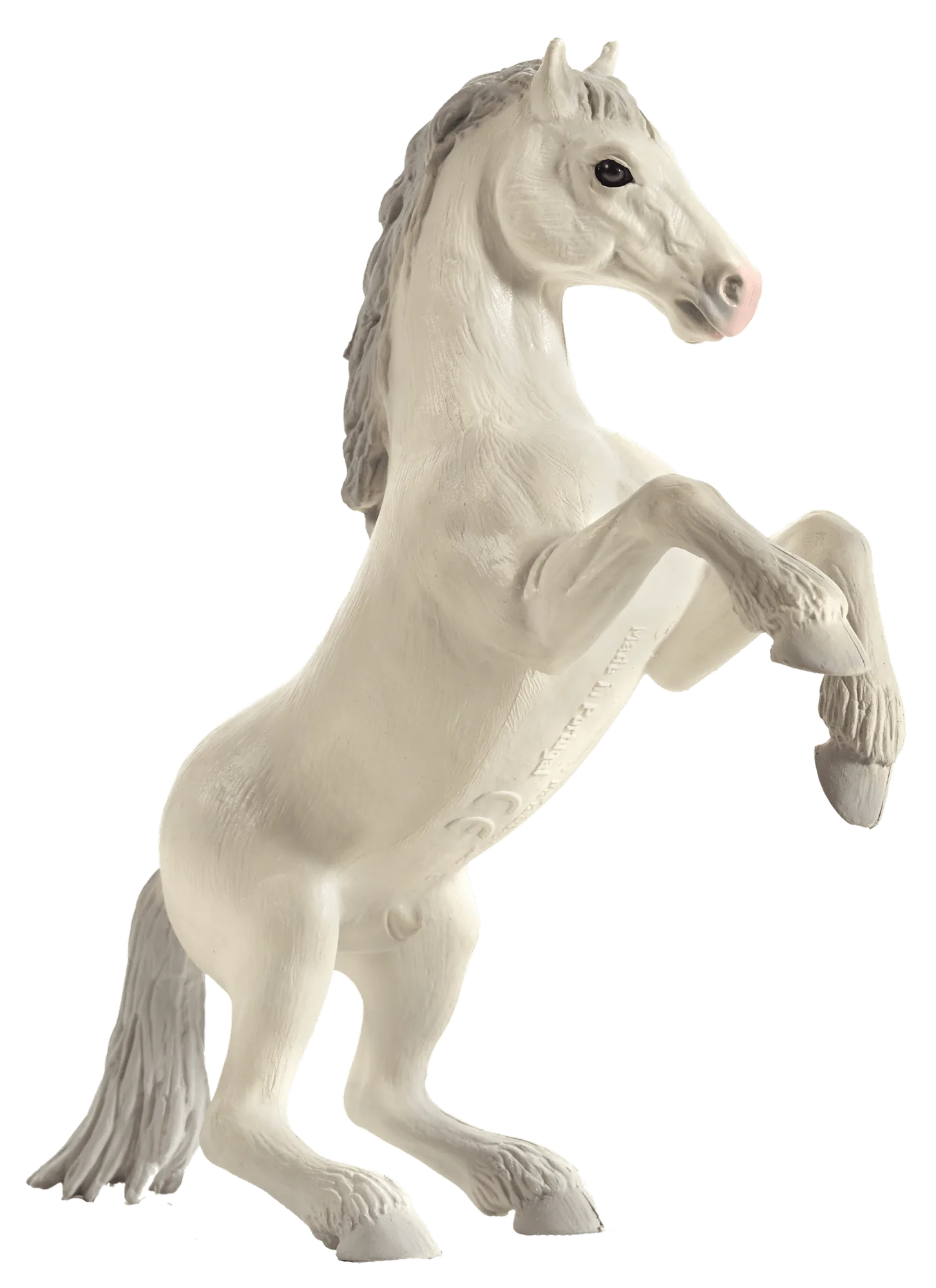 Mustang cabré blanc